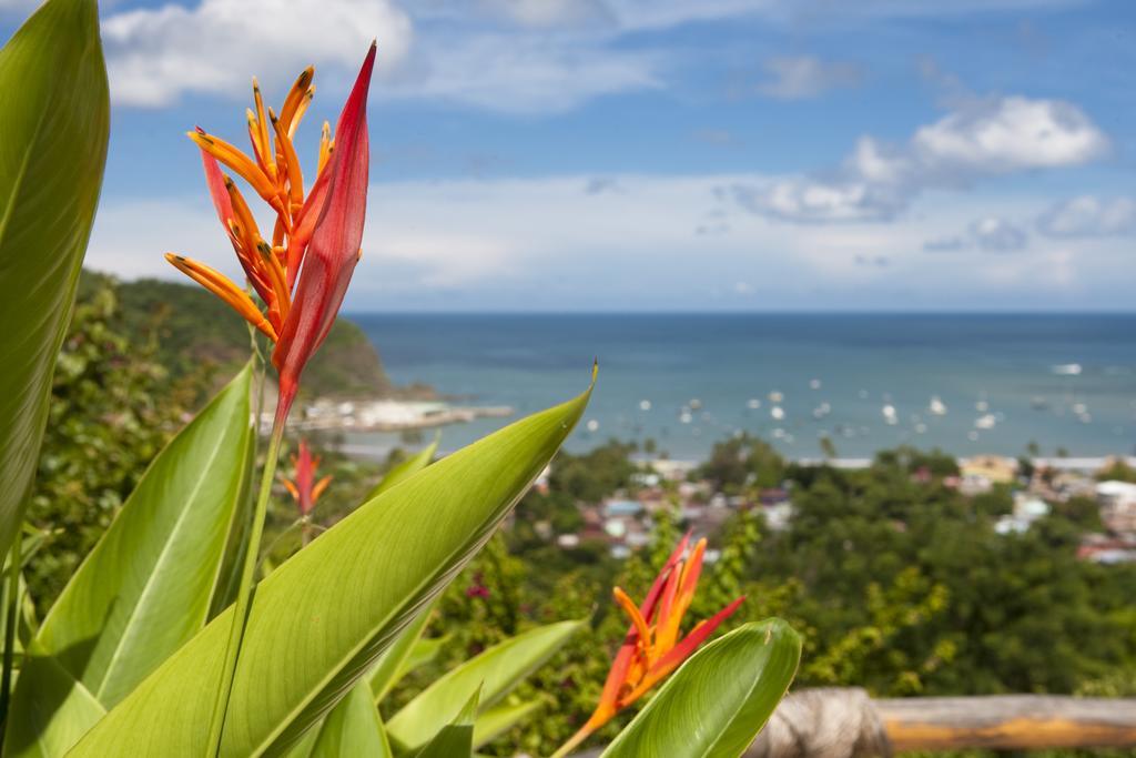 Pelican Eyes Resort And Spa San Juan del Sur Eksteriør bilde